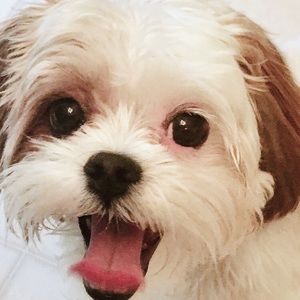 Meet your Posher, Rhonda